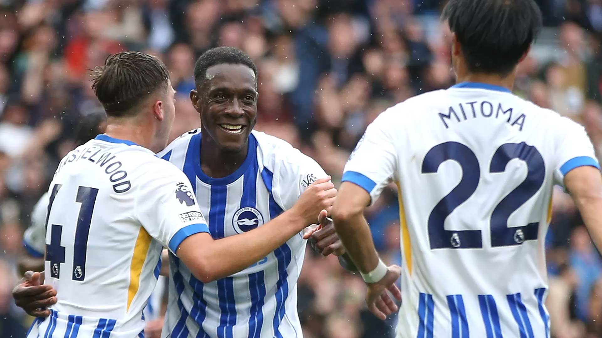 Brighton Tampil Memukau dengan Kemenangan Telak atas Wolves